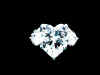 Dscn0043hart diamond.jpg (43840 oCg)